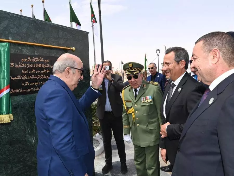 Iron Ore Concentrate