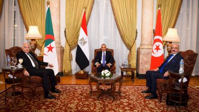 الآلية الثلاثية لدول جوار ليبيا