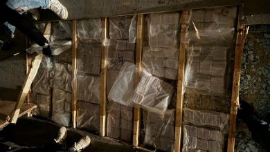 تفكيك شبكة دولية لتهريب المخدرات بين إسبانيا والمغرب في غرناطة وألميريا