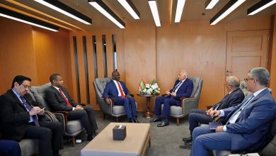 وزير الخارجية الجزائري يجري سلسلة لقاءات دبلوماسية لتعزيز الشراكات الإقليمية والدولية