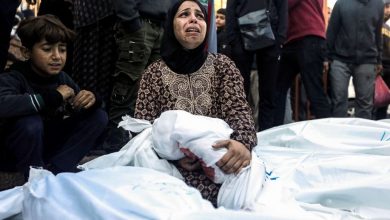 حرب الإبادة الجماعية في غزة