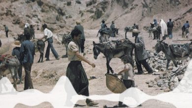 Restored Version of Iconic Film "Chronicle of the Years of Fire" Premieres in Algiers