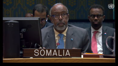 représentant de la Somalie à l'ONU, l'ambassadeur Abukar Dahir Osman, qui s'exprimait au nom des A3+ lors d'une session du Conseil de sécurité consacrée à la situation dans le pays.