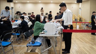 Record Turnout in South Korea's Early Presidential Voting