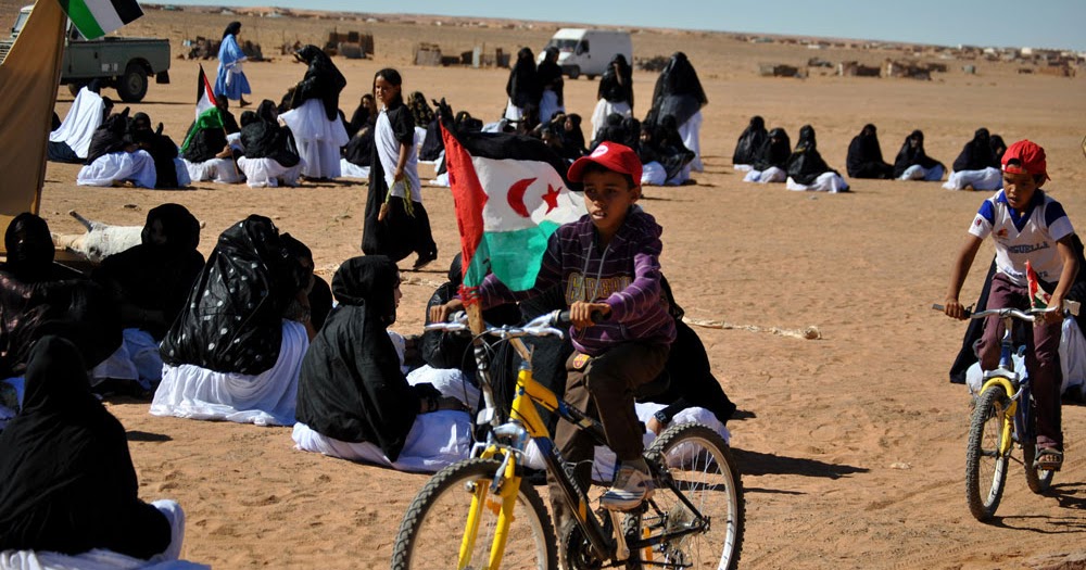 في اليوم العالمي للاجئين.. المفوضية الأممية تدعو إلى التضامن مع اللاجئين الصحراويين في الجزائر