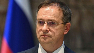 فلاديمير ميدينسكي