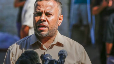 مدير المكتب الإعلامي الحكومي بغزة، إسماعيل الثوابتة،