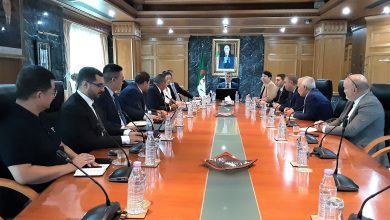 مباحثات جزائرية – صينية لتعزيز التعاون في مشاريع الطاقة والمناجم ونقل التكنولوجيا