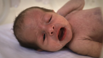 two infants die in gaza due to and lack of formula amid zionist siege