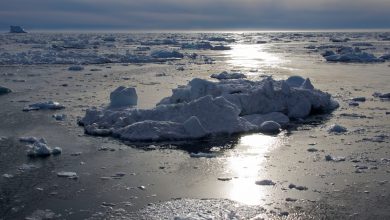 Greenland Ice Melts 17 Times Faster Amid Record Arctic Heatwave
