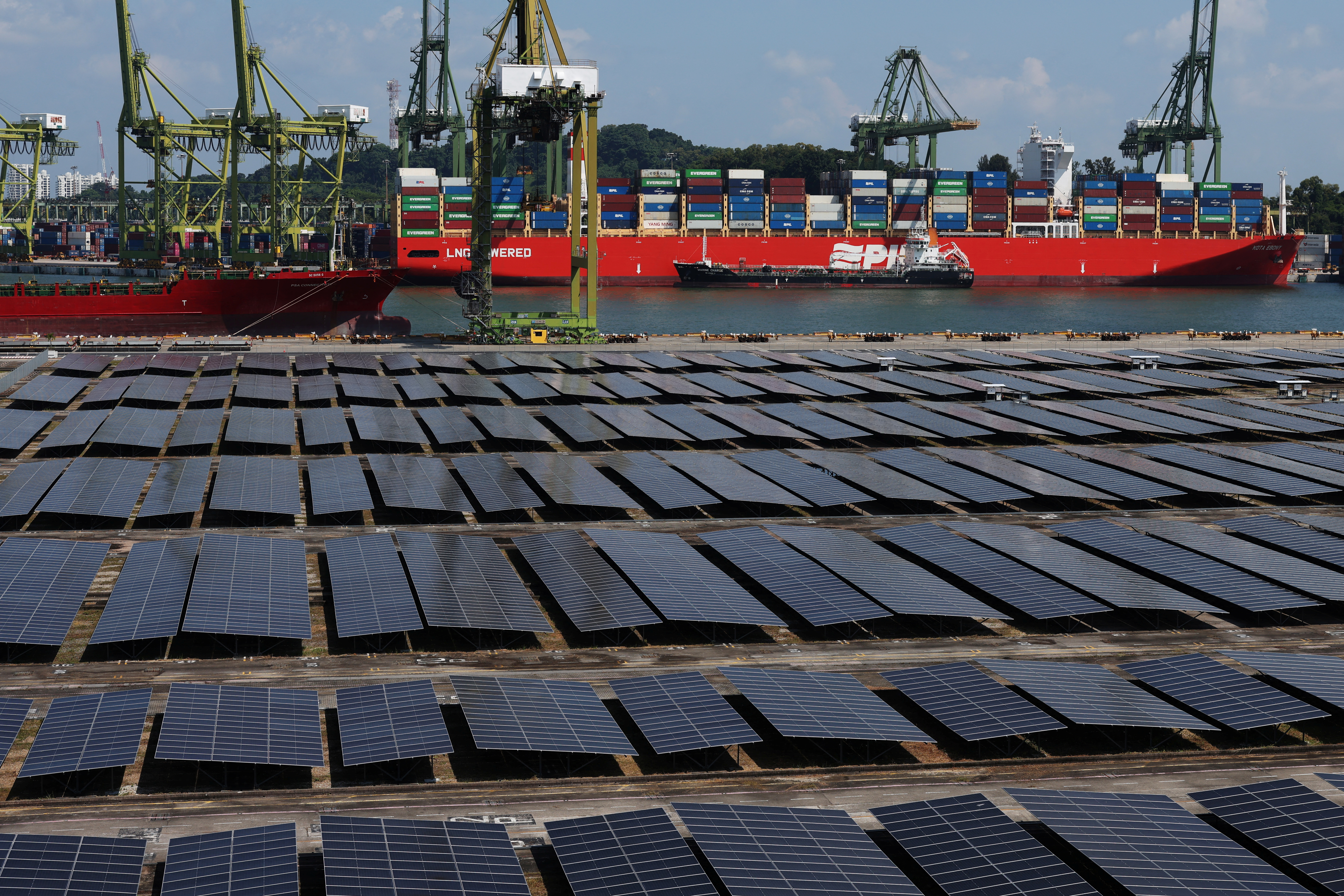 UK Delivers Major Blow to Moroccan Occupation with Cancellation of $34 Billion Energy Project