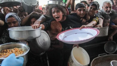 UN Warns: Over 2 Million in Gaza Deprived of Survival Essentials Amid Escalating Zionist Assault