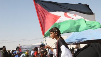 UN Expert Calls Out Moroccan Occupation for Repression in Western Sahara