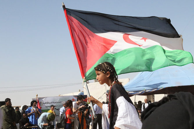 UN Expert Calls Out Moroccan Occupation for Repression in Western Sahara