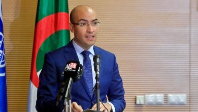 كاتب الدولة سفيان شايب