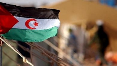 إدانة دولية لطرد المغرب مراقبين أجانب من الصحراء الغربية المحتلة