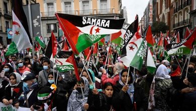 Western Sahara: Growing International Support as Sahrawi Media Breaks Moroccan Siege