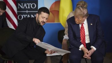 Trump Orders Additional Defensive Weapons to Ukraine, (Pentagon)