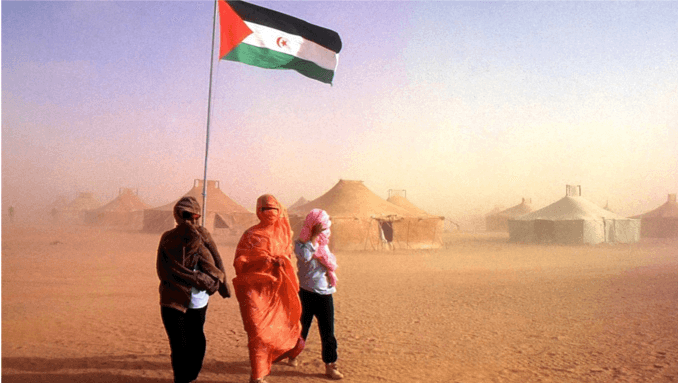 Polisario Representative Slams France for Ignoring Sahrawi Right to Self-Determination