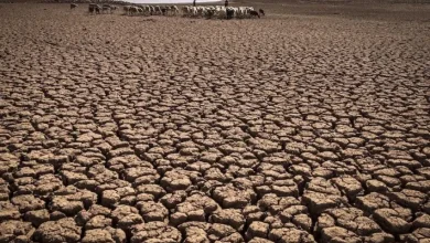 تقرير دولي يحذر: المغرب يواجه ندرة مائية حادة بحلول 2050 بسبب سوء التسيير