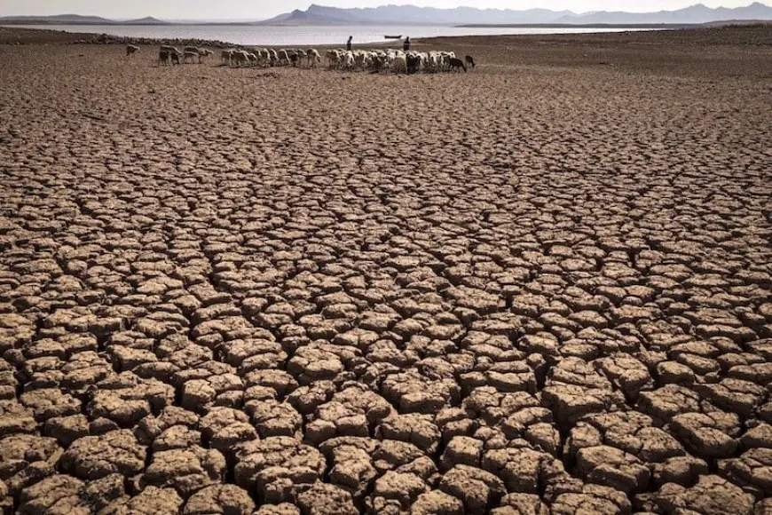 تقرير دولي يحذر: المغرب يواجه ندرة مائية حادة بحلول 2050 بسبب سوء التسيير