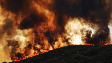 California Battles Largest Wildfire of the Year Amid Fears of Dangerous Summer