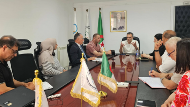 تنصيب لجنة العلاقات الخارجية في اللجنة الأولمبية والرياضية الجزائرية