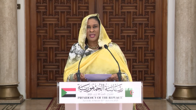 سفيرة السودان بالجزائر، نادية محمد خير عثمان