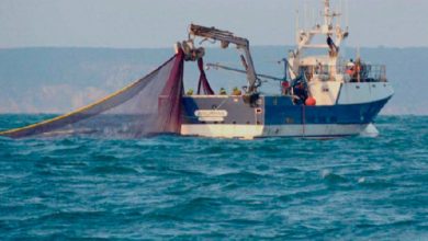 مطالب بالرقابة على أنشطة الصيد في المياه الصحراوية