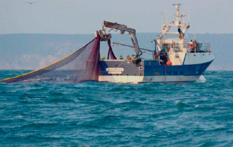 مطالب بالرقابة على أنشطة الصيد في المياه الصحراوية