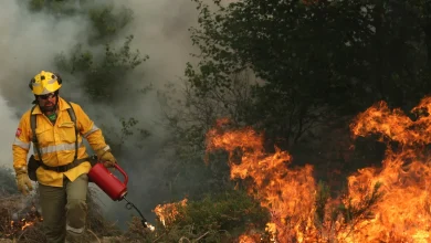 Portugal Wildfires