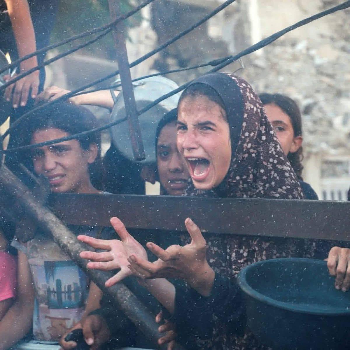 الإبادة الجماعية في غزة