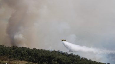 طائرات الجيش الجزائري تشارك في إخماد الحرائق