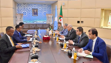 محادثات جزائرية- صومالية