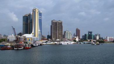 افتتاح مناطق اقتصادية في تنزانيا