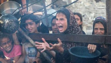 حرب الإبادة الجماعية في غزة