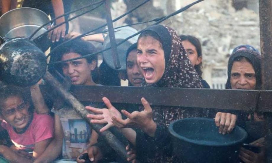 حرب الإبادة الجماعية في غزة