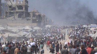 حرب الإبادة الجماعية في غزة