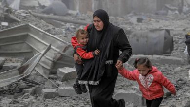 حرب الإبادة الجماعية في غزة