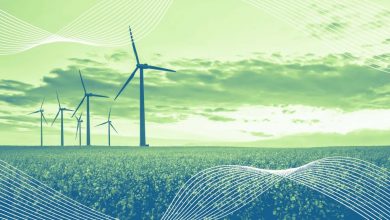 Green Impact Bootcamp