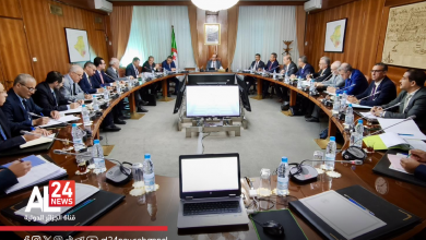 تدابير لوجستية ومالية لدعم صادرات الإسمنت والكلنكر الجزائرية