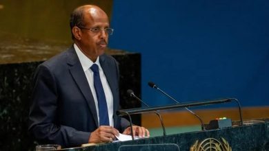 رئيس مفوضية الاتحاد الإفريقي محمود علي يوسف