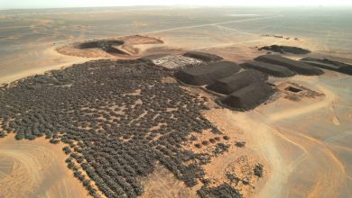 العمل يجري بوتيرة “متسارعة” لإنجاز أول وحدة لإنتاج مركز الحديد