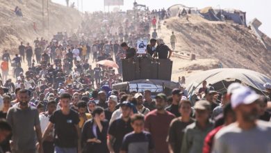 نصف مليون فلسطيني عادوا إلى غزة