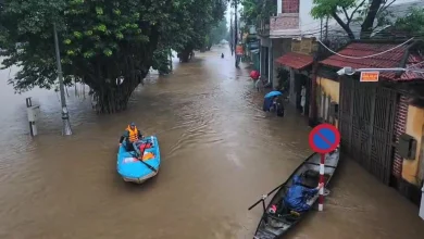 Vietnam Rainfall