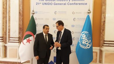 "يونيدو" تؤكد استعدادها لتعزيز التعاون مع الجزائر في التحول الطاقوي والتكنولوجيا الخضراء