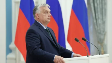 رئيس الوزراء المجري فيكتور أوربان