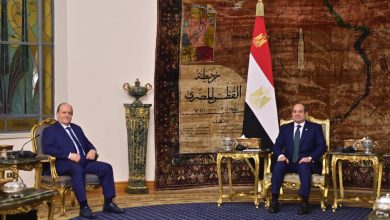 الرئيس المصري يستقبل الوزير الأول الجزائري