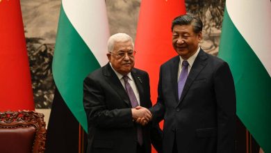 China Palestinian Cause