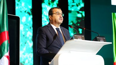 وزير الدولة وزير المحروقات والمناجم الجزائري محمد عرقاب